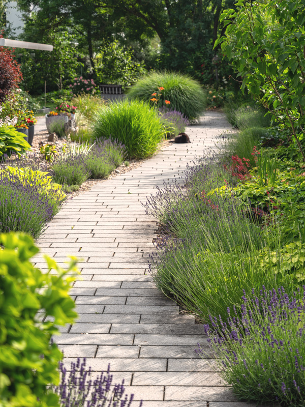 Weg durch den Garten des Hospiz